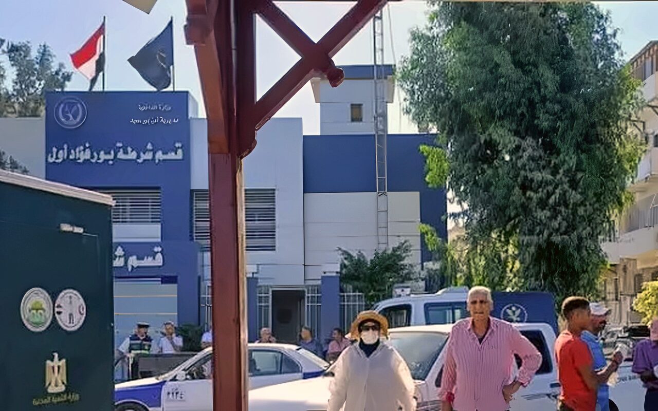 حملة مكثفة بمدينة بورفؤاد للتعامل مع الكلاب الضالة ونقلها إلى الشلتر المخصص