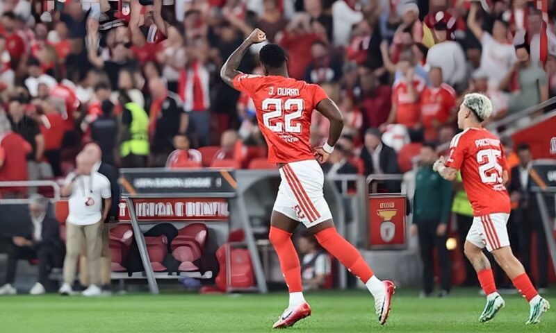 بمشاركة هيثم حسن، بنفيكا يكتسح سيلتيك برباعية مقابل هدف في الدوري الأوروبي