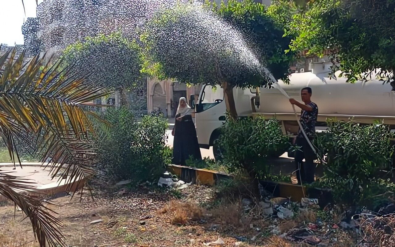 انطلاق حملات مكافحة الحشرات الطائرة بعزبة البرح في دمياط