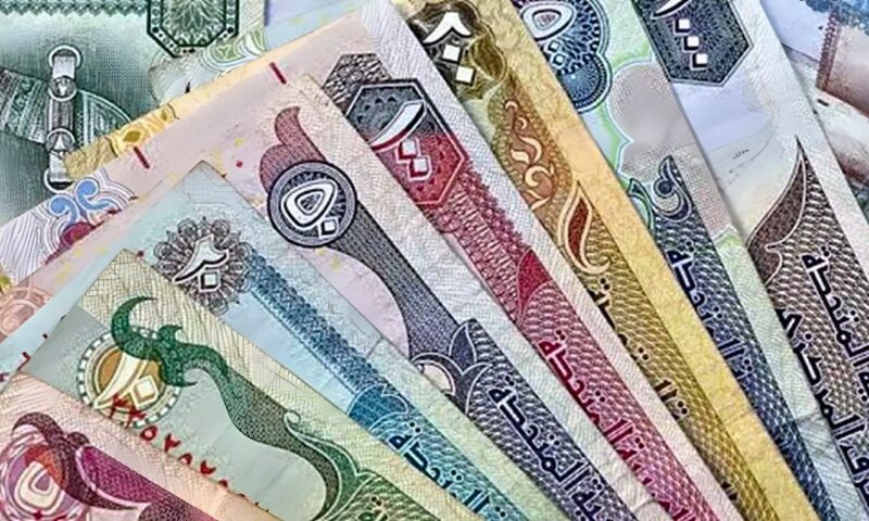 سعر الدرهم الإماراتي مقابل الجنيه في البنك المركزي اليوم الثلاثاء