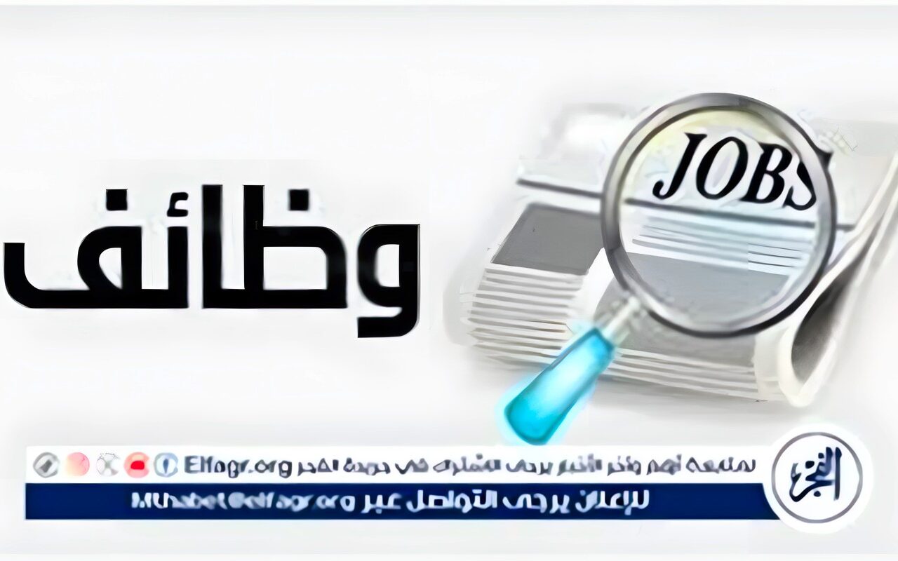 القليوبية تطرح 378 فرصة عمل في 3 شركات كبرى بمرتبات تصل إلى 13 ألف جنيه