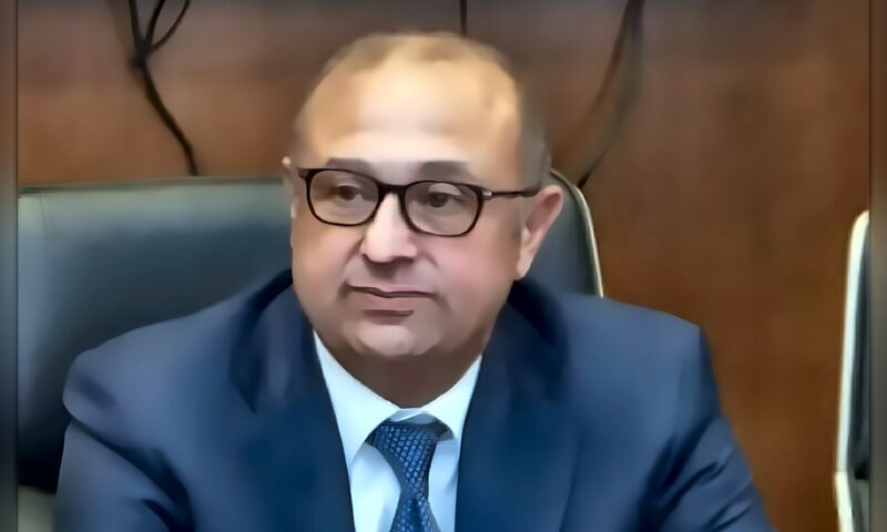 سعده: منتدى «العلمين – أفريقيا للأعمال» منصة لتعزيز الشراكة التجارية والاستثمارية وتحويل الفرص الأفريقية إلى مشروعات.