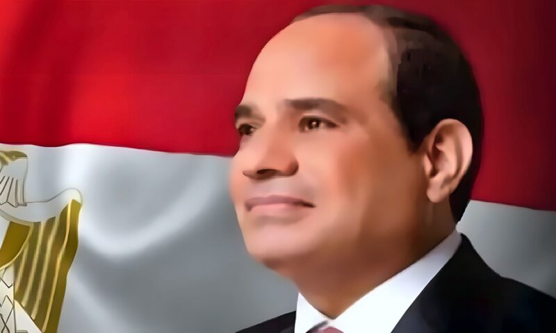 السيسي: إدارة الأنهار العابرة للحدود يجب أن تستند إلى القانون الدولي