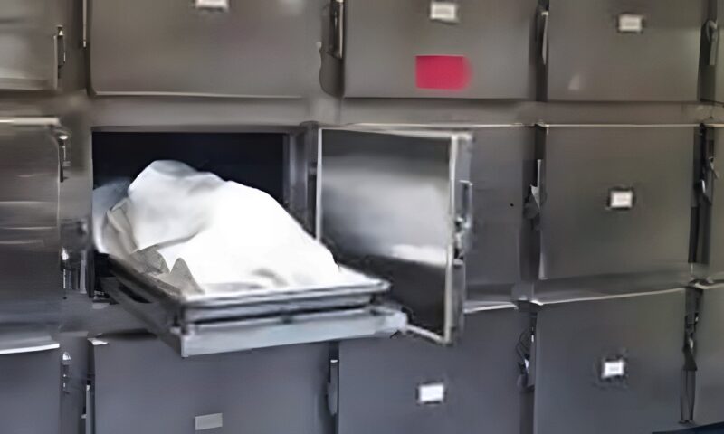 مصرع طفلة في حادث تصادم سيارة مجهولة بالدقهلية