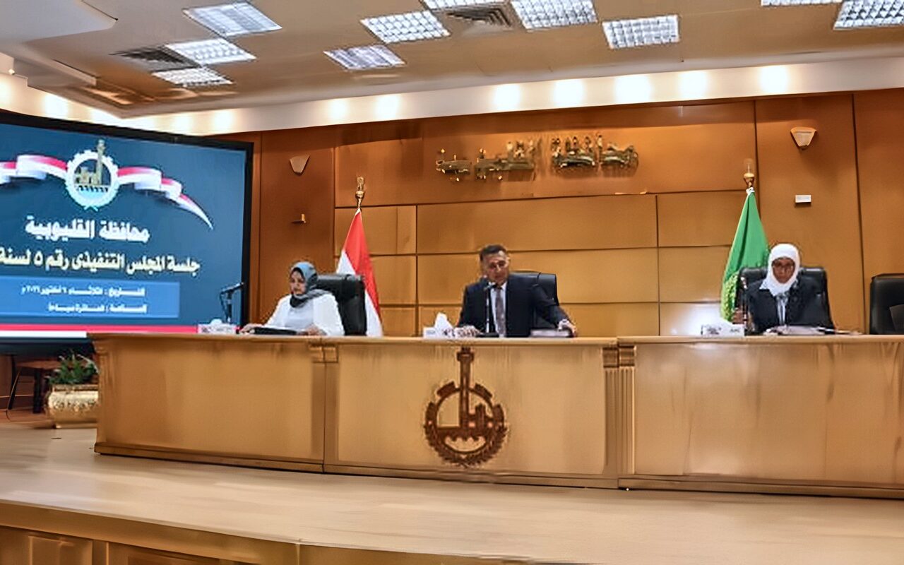 خلال اجتماع المجلس التنفيذي.. محافظ القليوبية يوجّه بتكثيف العمل الميداني وتحسين الخدمات