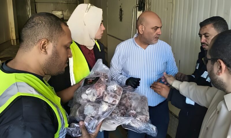 ضبط 2 طن لحوم مجمدة منتهية الصلاحية بالقليوبية