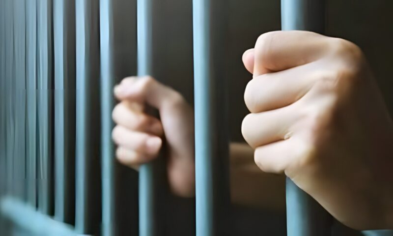 التحقيق مع سائق حافلة مدرسية بتهمة التحرش بطالبة أثناء توصيلها إلى المدرسة بشبرا الخيمة