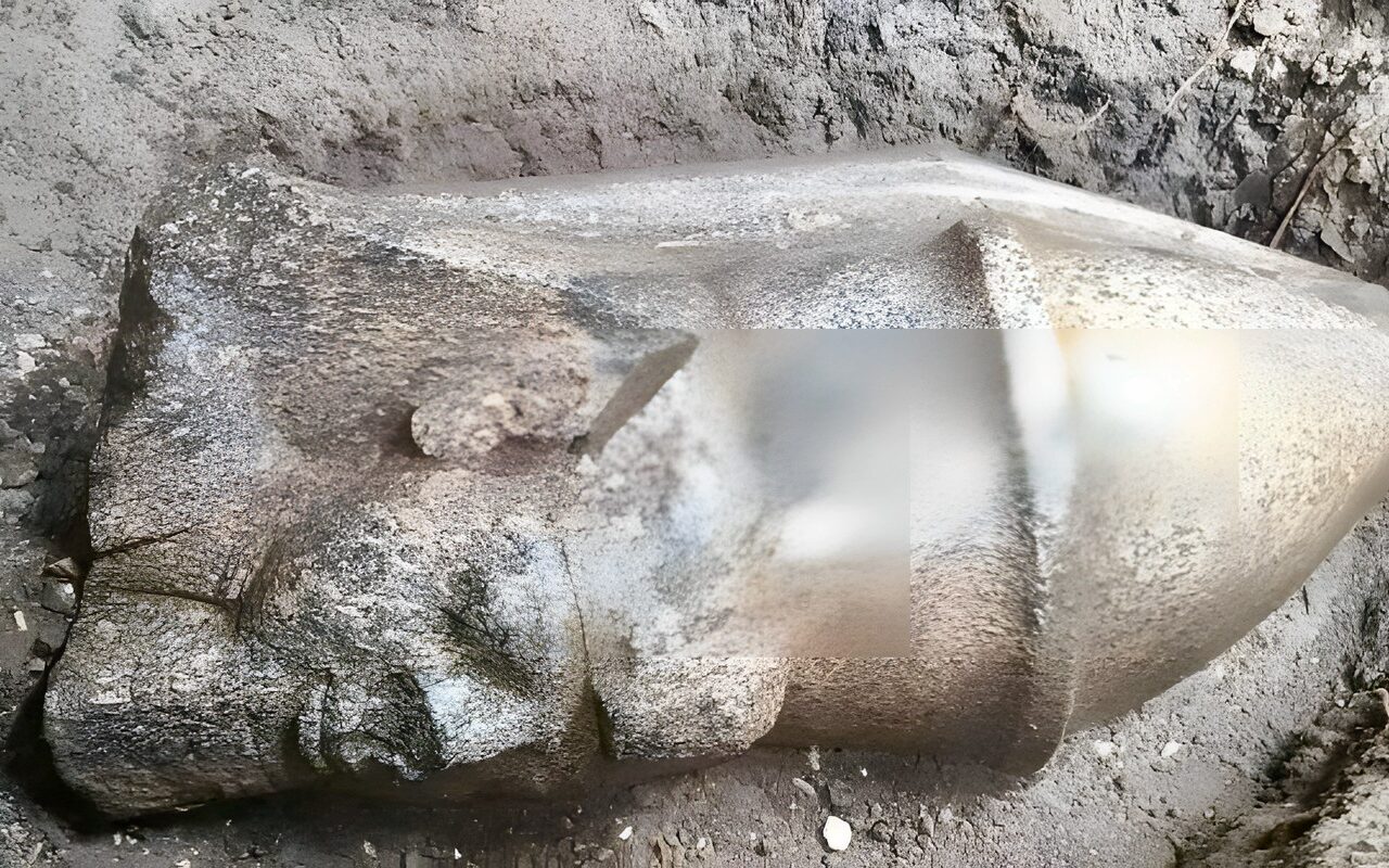 أول رد.. مدير آثار الغربية يكشف تفاصيل العثور على تمثالين ملكيين بقرية بهبيت الحجارة