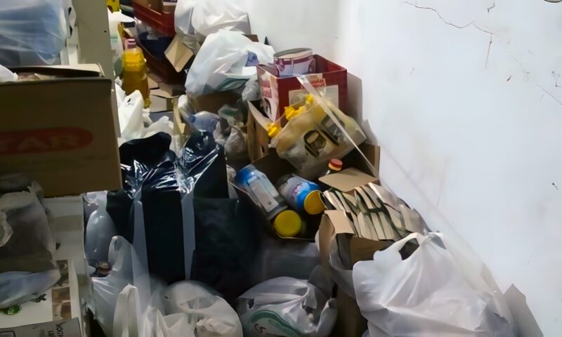حملات رقابية على الأغذية خلال احتفالات مولد السيد البدوي.. ضبط 700كجم مخللات