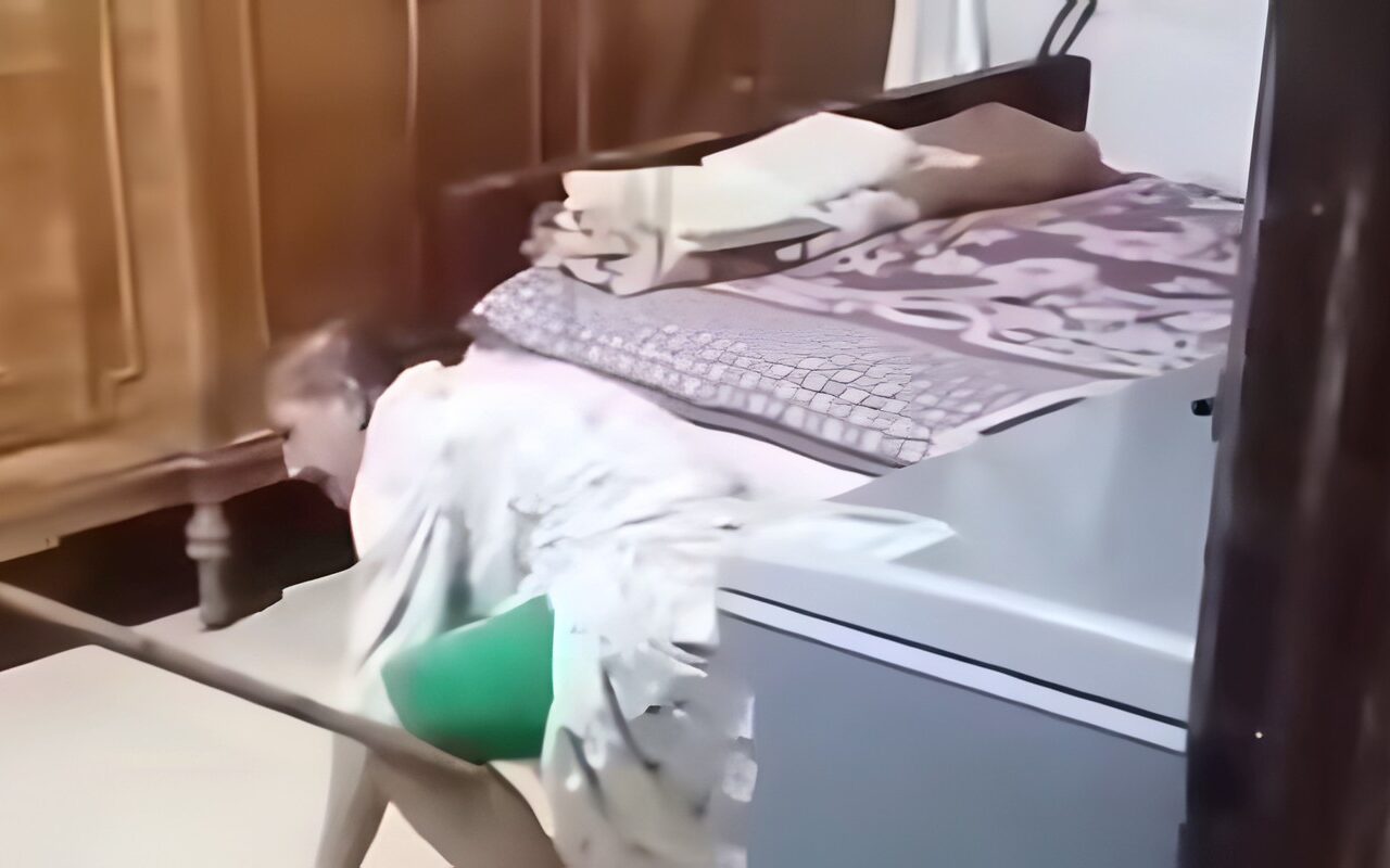حبس سيدة بتهمة الاعتداء علي شقيقتها من ذوي الاعاقة في المحلة 4 أيام