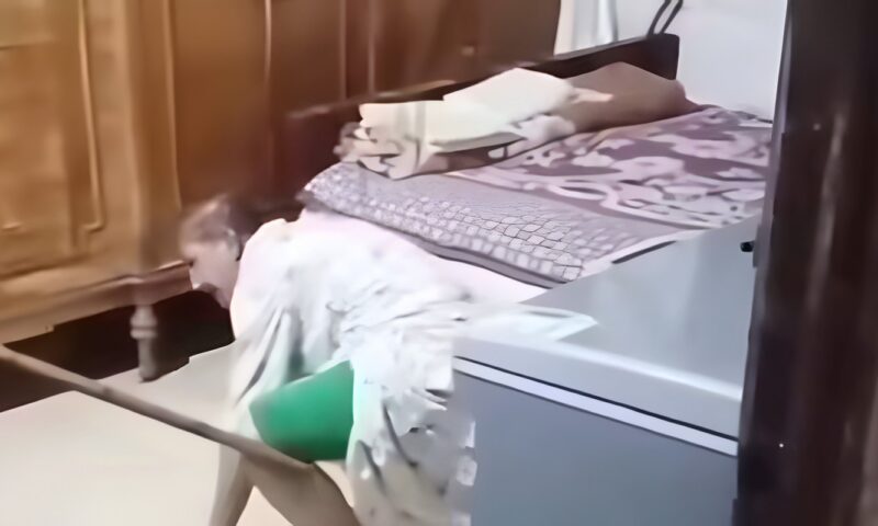 حبس سيدة بتهمة الاعتداء علي شقيقتها من ذوي الاعاقة في المحلة 4 أيام