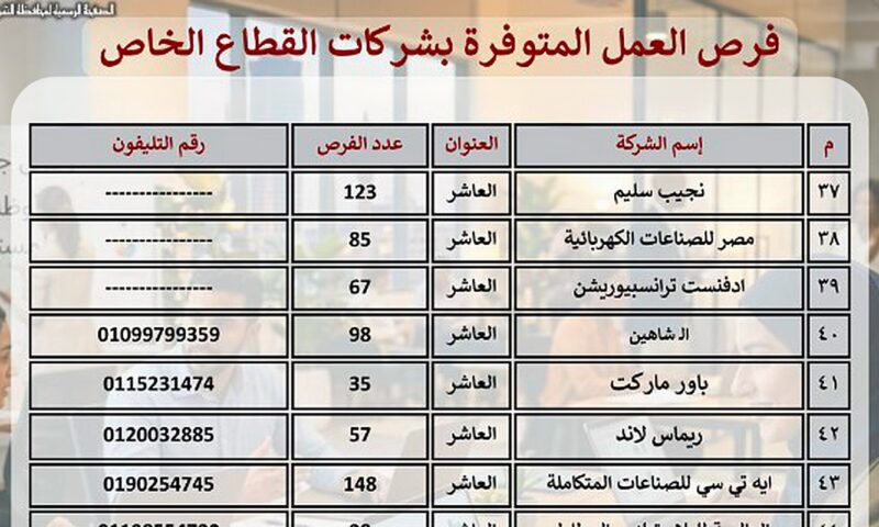 5695 فرصة عمل بـ 56 مصنعاً وشركة في مدينتي العاشر من رمضان والصالحية