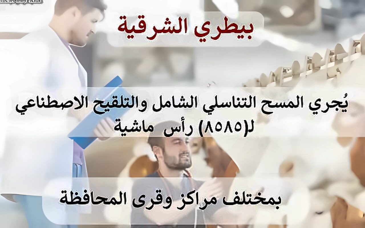 بيطري الشرقية: مسح تناسلي شامل لـ4819 رأس ماشية وتلقيح إصطناعي لـ3766 رأس