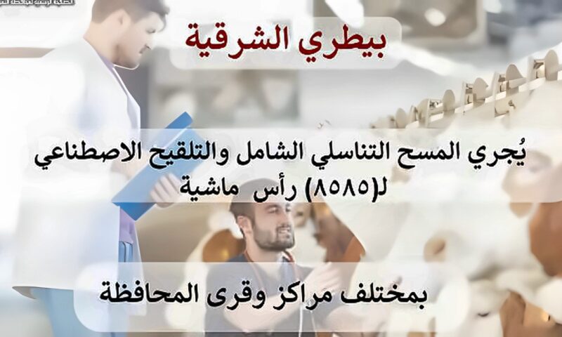 بيطري الشرقية: مسح تناسلي شامل لـ4819 رأس ماشية وتلقيح إصطناعي لـ3766 رأس