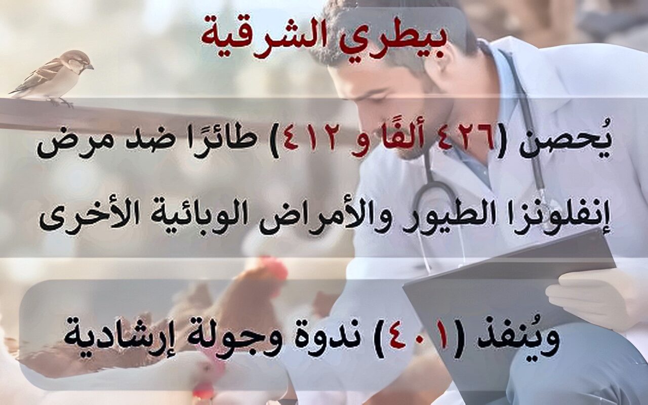 بيطري الشرقية يحصن 426 ألف طائر وينفذ 401 ندوة وجولة إرشادية خلال شهر سبتمبر الماضي