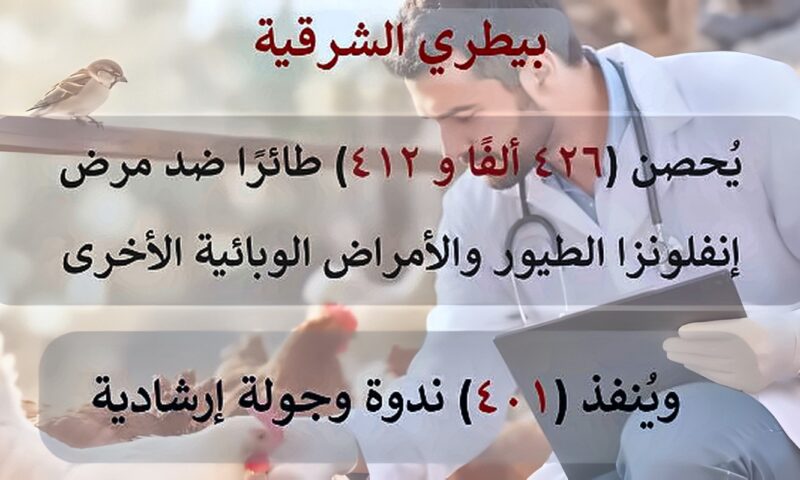 بيطري الشرقية يحصن 426 ألف طائر وينفذ 401 ندوة وجولة إرشادية خلال شهر سبتمبر الماضي