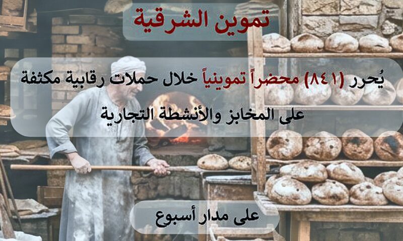 تموين الشرقية تحرر 841 محضرًا للمخالفين خلال حملات رقابية مكثفة