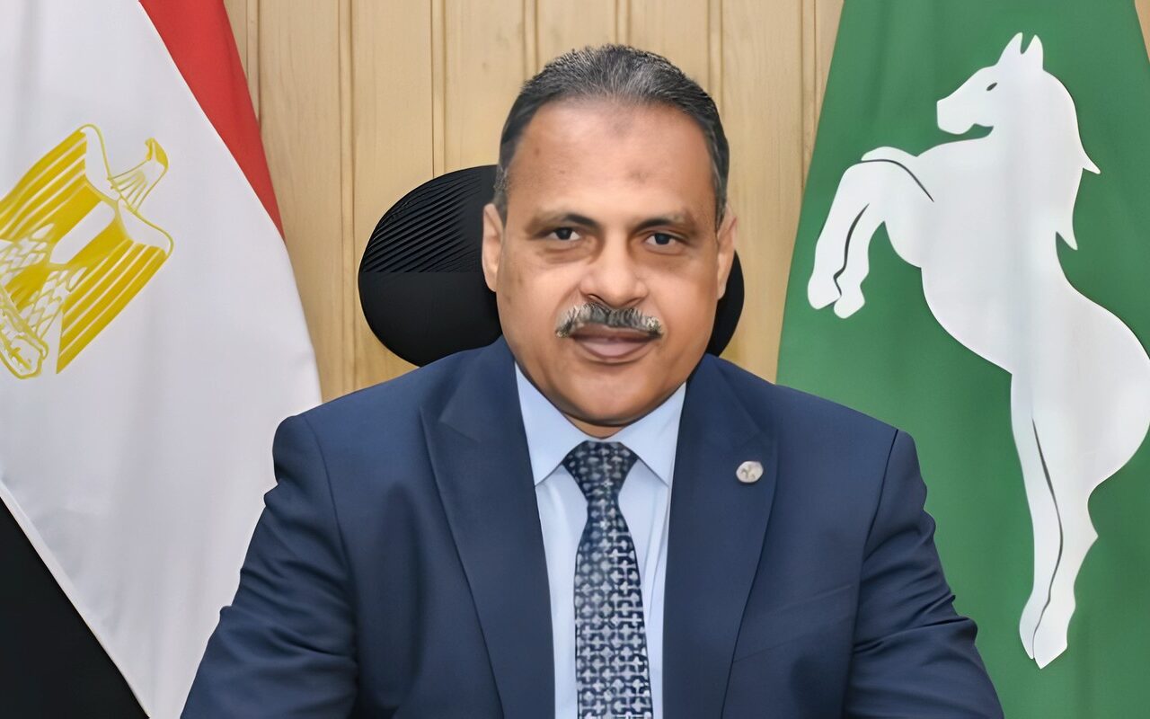 تموين الشرقية يحرر 734 محضرًا للمخالفين خلال حملات رقابية مكثفة