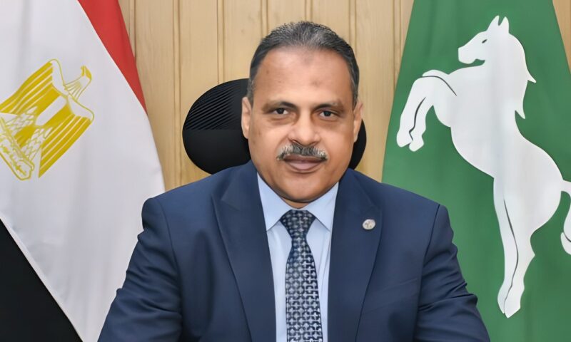تموين الشرقية يحرر 734 محضرًا للمخالفين خلال حملات رقابية مكثفة