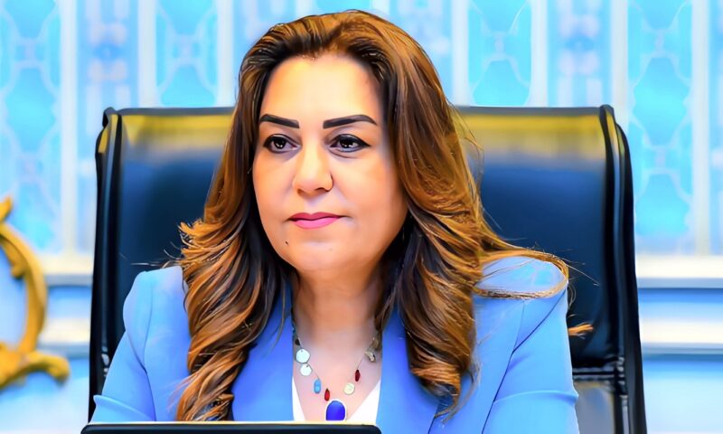 منال عوض: تنفيذ 4 برامج تدريبية لتأهيل الكوادر المحلية بسقارة