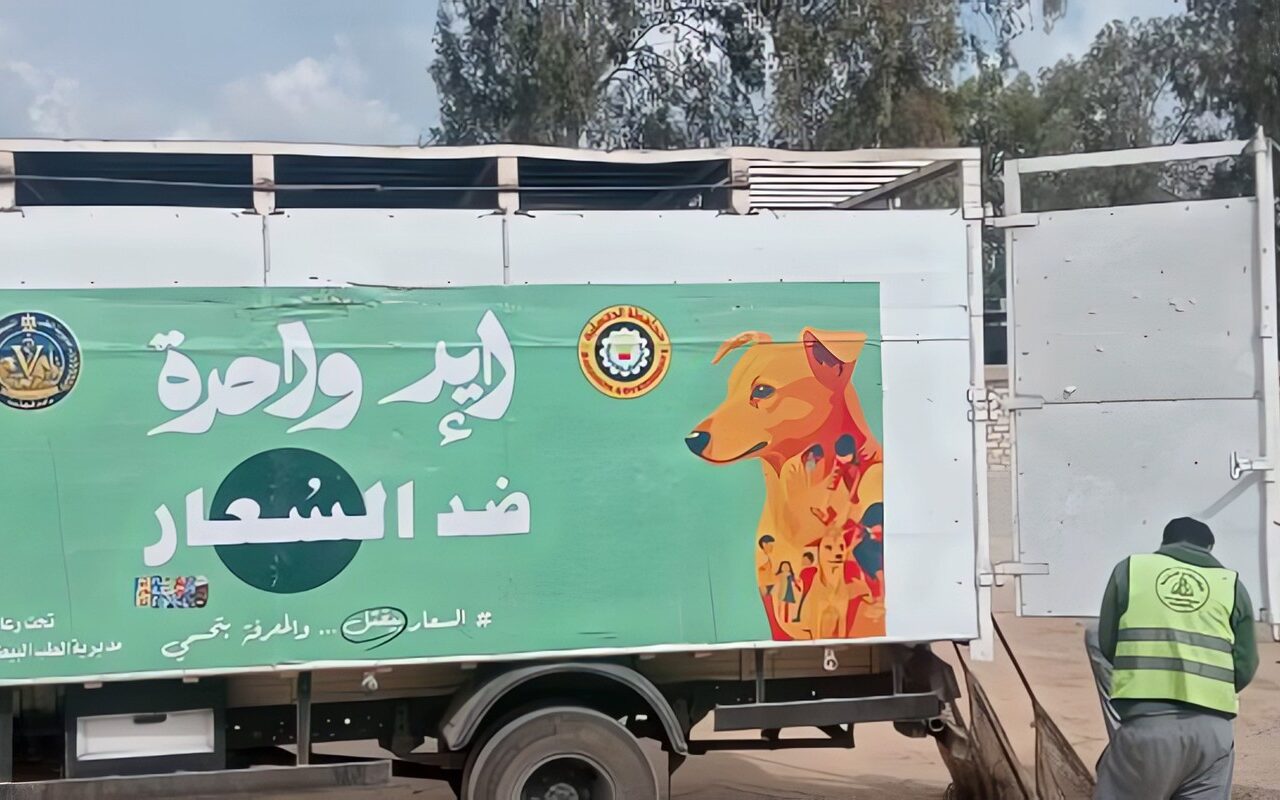 حفاظا على حياة المواطنين.. استمرار حملات التعامل مع الكلاب الضالة