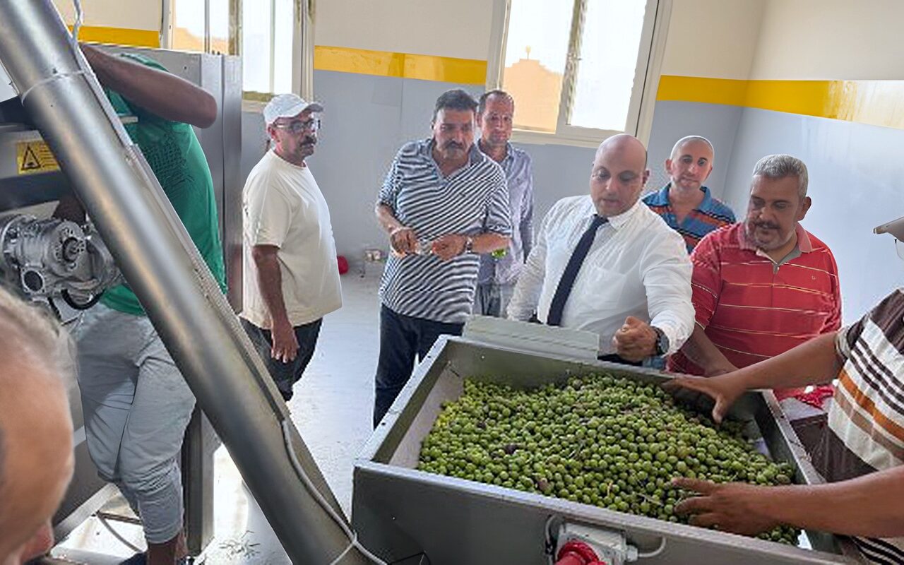 زيتون سيناء يدخل مرحلة جديدة.. وزير الزراعة يطلق تشغيل معصرة النثيلة لدعم المزارعين