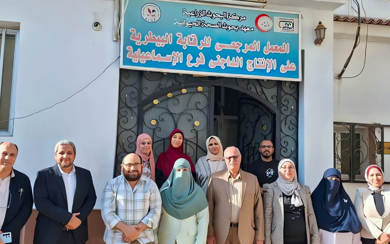 اعتماد دولي وتوسيع الفحوصات.. تحرك جديد لدعم سلامة الإنتاج الداجني والأمن الغذائي