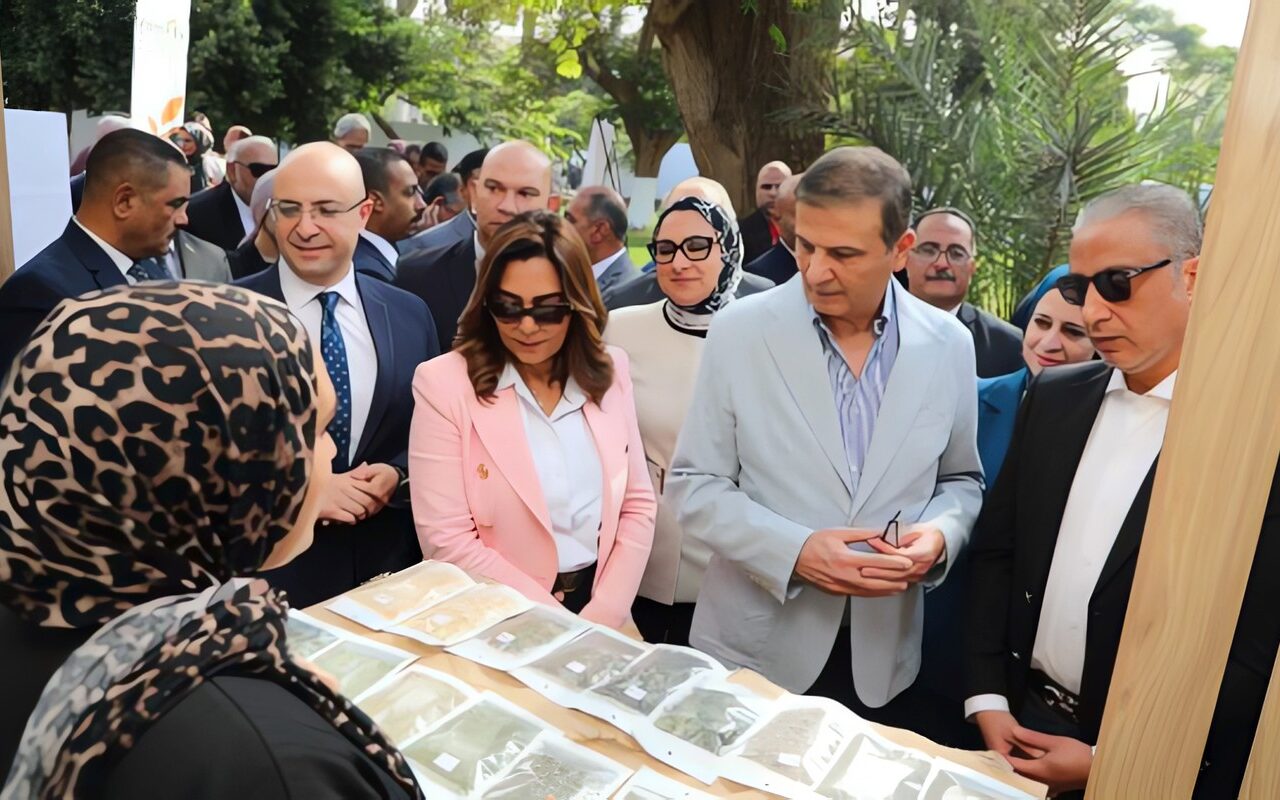 من الزراعة إلى التصدير.. خطة حكومية لتعظيم عوائد النباتات الطبية والعطرية ودعم صغار المزارعين