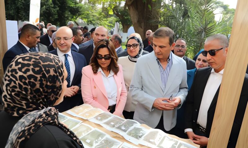 من الزراعة إلى التصدير.. خطة حكومية لتعظيم عوائد النباتات الطبية والعطرية ودعم صغار المزارعين