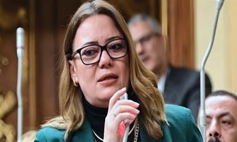 المجلس القومي للمرأة يهنئ النائبات رئيسات ووكيلات اللجان النوعية بمجلس النواب
