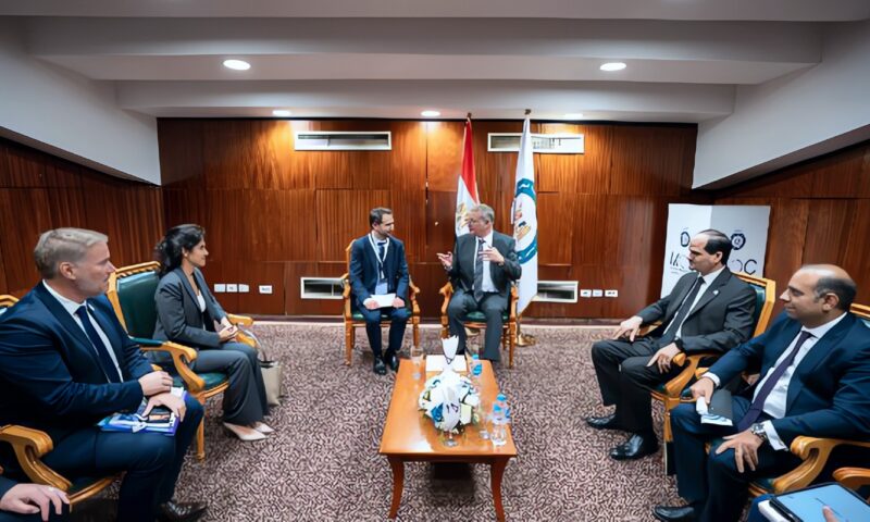 وزير البترول يبحث مع شركة الفرنسية تسريع تنفيذ مشروع ربط الغاز القبرصي بالبنية التحتية