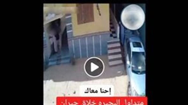 خلافات الجيرة تشعل مشاجرة بالعصي والحجارة في البحيرة والأمن يضبط المتهمين