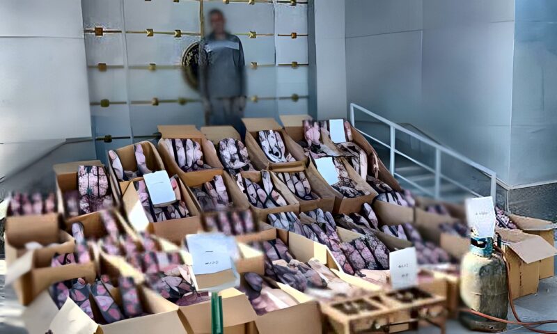 القبض على عامل بحوزته 1.5 مليون قطعة ألعاب نارية بالفيوم