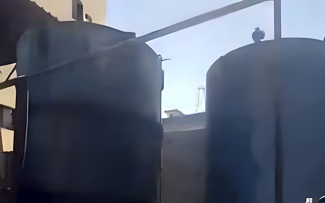 قبل بيعها بالأسواق.. ضبط 45 طن زيوت سيارات مغشوشة بدمياط