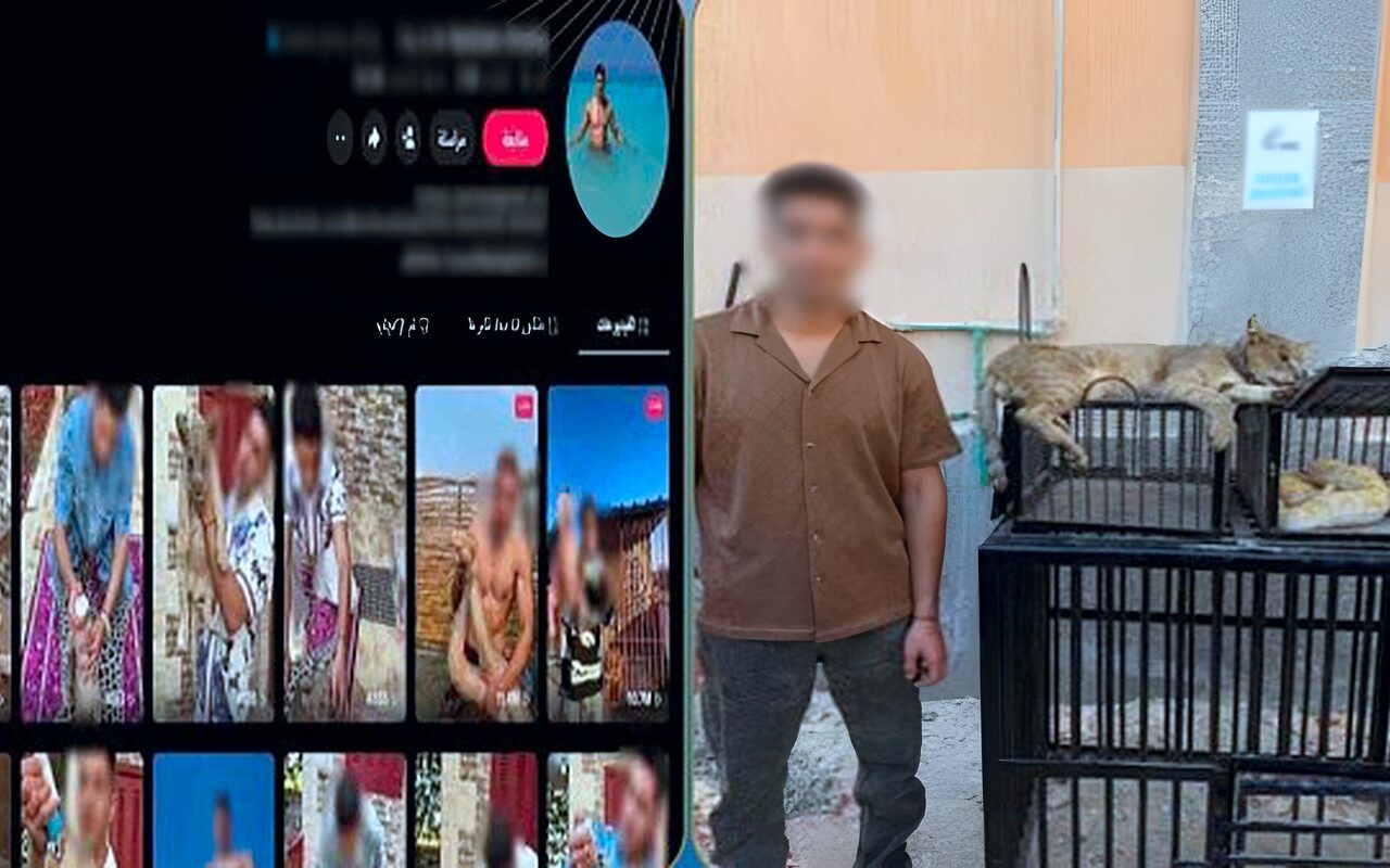 ثعابين وزواحف.. القبض على صانع محتوى بحوزته حيوانات خطرة بكفر الشيخ