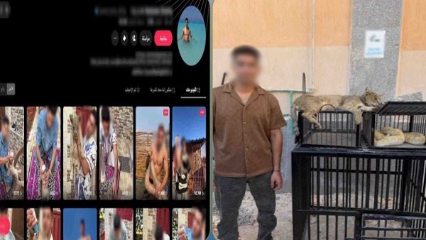 ثعابين وزواحف.. القبض على صانع محتوى بحوزته حيوانات خطرة بكفر الشيخ