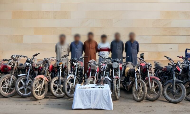 سقوط عصابة سرقة الدراجات النارية بالمنيا