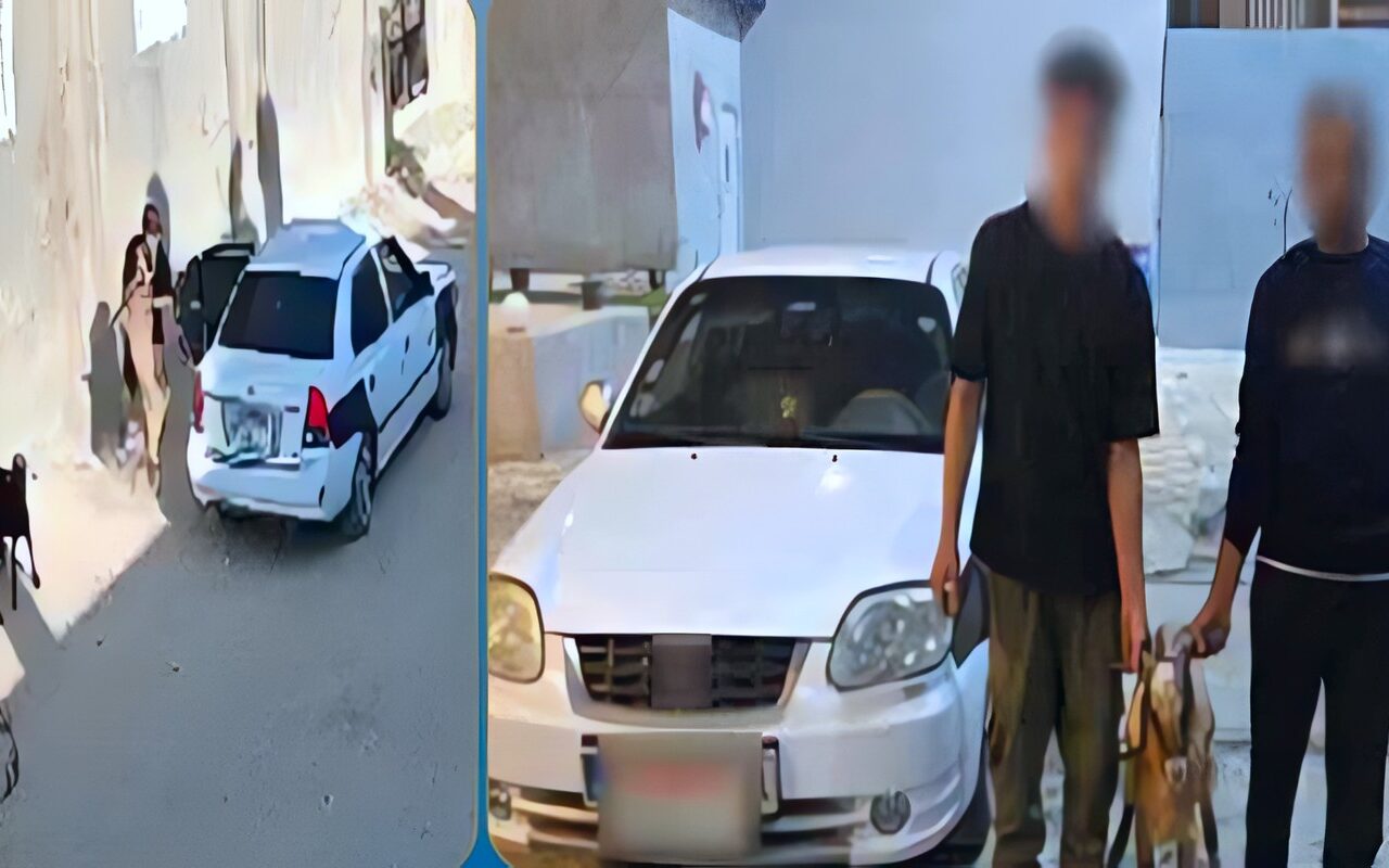 القبض على المتهمين بسرقة رأس غنم في شمال سيناء