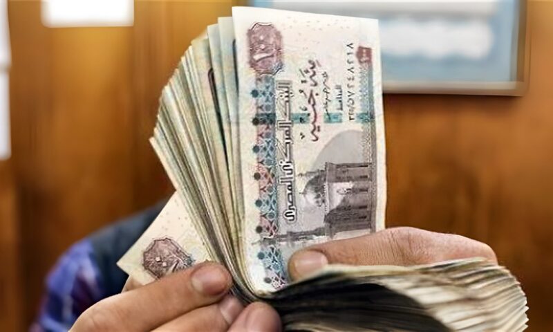 20 ألف جنيه غرامة.. القانون يحظر ممارسة المهن دون تصريح بهذه المناطق
