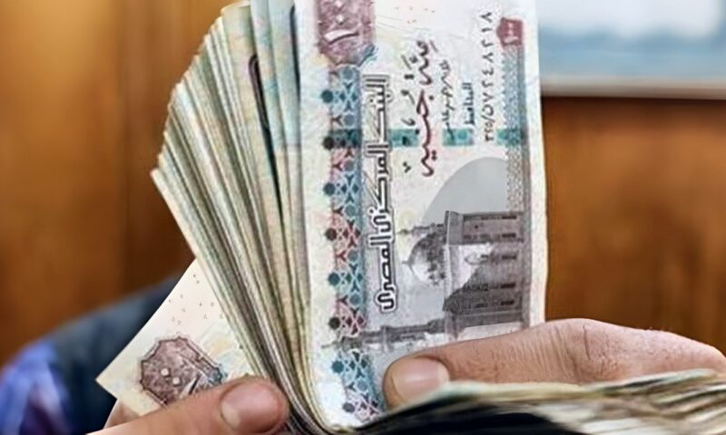 مكافأة نهاية الخدمة للموظفين .. قيمتها وآليات الحصول عليها طبقا لقانون العمل