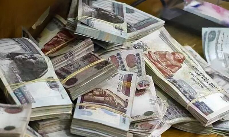 موعد معاشات نوفمبر2026.. وخطوات الصرف المبكر من بنك ناصر