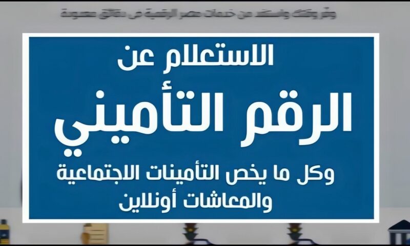 وأنت في بيتك.. رابط الاستعلام عن الرقم التأميني بالرقم القومي 2026