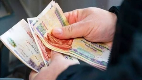 موعد صرف معاشات نوفمبر 2026.. رابط الاستعلام الرسمي