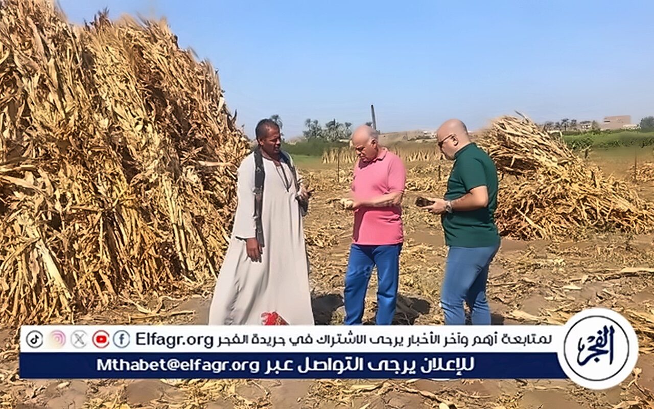 محافظ أسيوط: فرم وتدوير متبقيات الذرة الرفيعةلإنتاج الأعلاف والأسمدة العضوية بالفتح