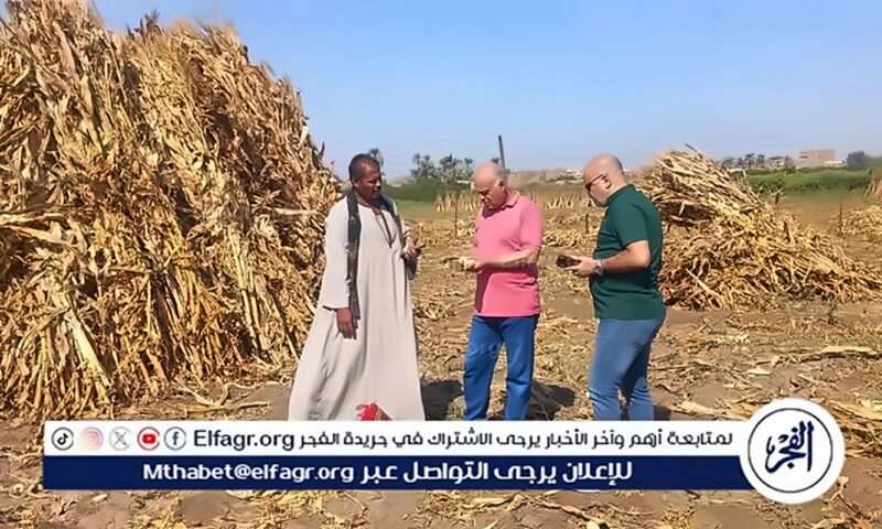 محافظ أسيوط: فرم وتدوير متبقيات الذرة الرفيعةلإنتاج الأعلاف والأسمدة العضوية بالفتح