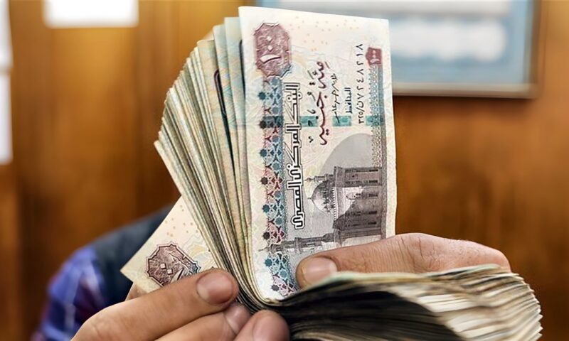 أمين الفتوى يوضح حكم أرباح تيك توك وفيسبوك من البث المباشر وصناعة المحتوى