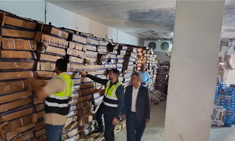 ضبط 41 طنًا من أسماك “الهارنج” غير الصالحة للاستهلاك قبل تحويلها إلى “رنجة” بالغربية (فيديو)
