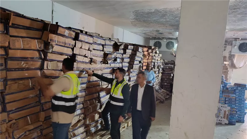 ضبط 41 طنًا من أسماك “الهارنج” غير الصالحة للاستهلاك قبل تحويلها إلى “رنجة” بالغربية (فيديو)