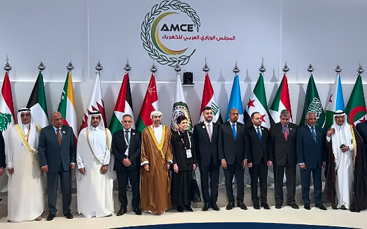 وزير الكهرباء: تطوير قاعدة بيانات عربية موحدة لمشروعات الطاقة المتجددة