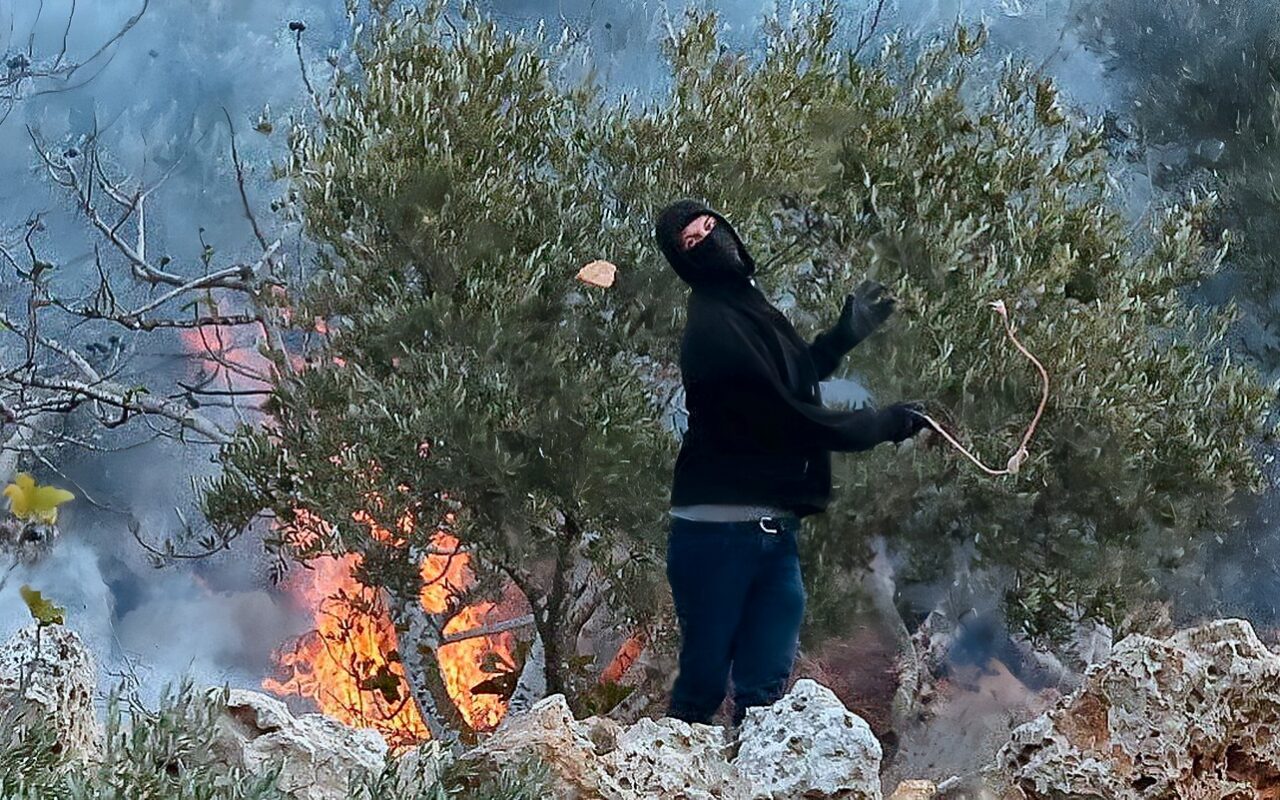 مستوطنون إسرائيليون يهجمون على قرية بالضفة ويحرقون أشجار الزيتون
